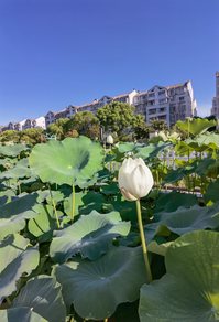 风景2